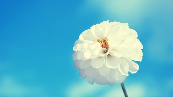 dnf做什么人偶好