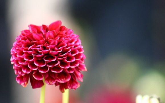 lol如何申请解封